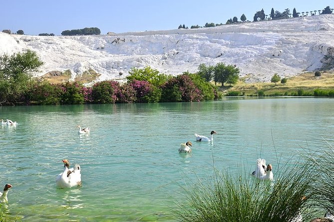 4 Days Turkey Tour - Cappadocia, Ephesus and Pamukkale Tour - Day 4 Ephesus and Sirince: Gates, Celsus, Artemis, and a Nice Village Finish