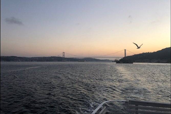 Bosphorus Explorer: 3-Hour Cruise with Asian Side Visit - The Bosphorus Bridge moment you shouldn’t miss