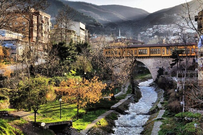 Bursa Full-Day Tour From Istanbul With Cable Car - Uludag National Park time: plane tree photos, then lunch, then free time