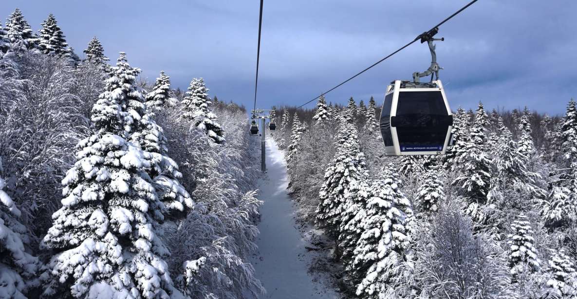 From Istanbul: Bursa and Mt. Uludağ Full-Day Tour - Key Highlights You’ll Actually Care About