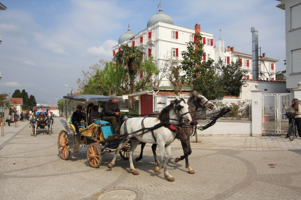 From Istanbul: Full-Day Princes Island Tour with Lunch - Quick Hits You’ll Care About