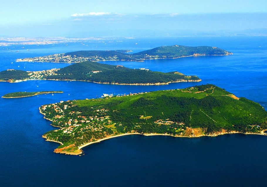 From Istanbul: Full-Day Princes Island Tour with Lunch - Büyükada: Ottoman Mansions, Seagulls, and Real Time to Wander