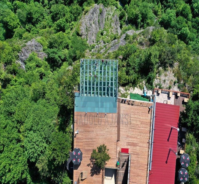 From Istanbul: Sapanca & Maşukiye Full-Day Tour with Lunch - Darica Zoo: A paid add-on you should evaluate