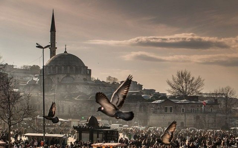 Istanbul: 1 or 2 -Day Private Guided City Tour - A private Istanbul plan that actually covers the important stuff