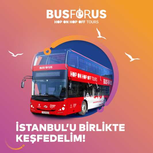 Istanbul: 48-Hour Hop-On Hop-Off Double Decker Bus Ticket - Route red and route blue: how to plan around the stop flow