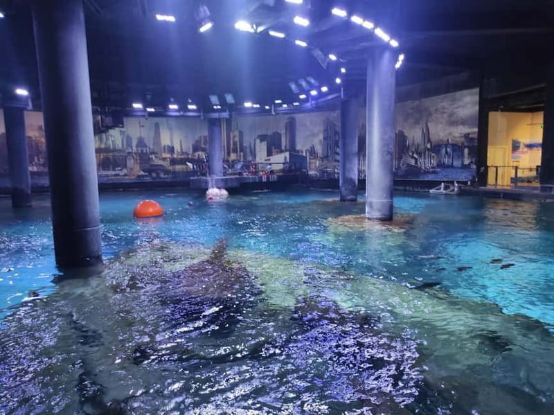 Istanbul: Aquarium Ticket and Round Trip Shuttle from Taksim - Animals You’ll Actually Want to Look For