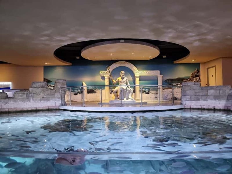 Istanbul: Aquarium Ticket and Round Trip Shuttle from Taksim - Price Value at About $33: When the Shuttle + Skip-the-Line Pays Off