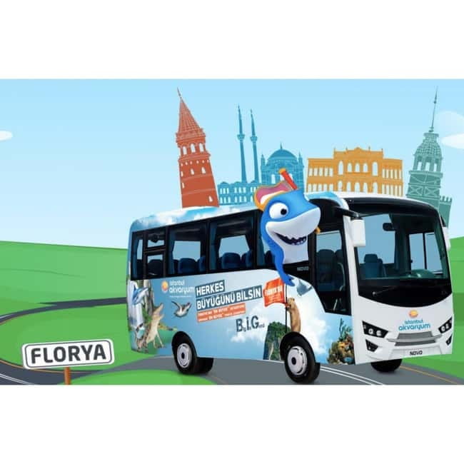 Istanbul: Aquarium Ticket with Shuttle Bus from Sultanahmet - Key highlights at a glance