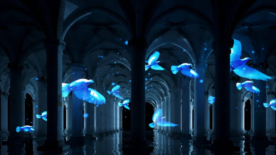 Istanbul: Basilica Cistern Skip-the-Ticket-Line Guided Tour - Meet Behind the Blue Mosque Tram Stop, Then Get Moving