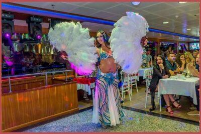 Istanbul Bosphorus Cruise with Dinner and Belly-Dancing Show - Price and what you’re really paying for ($84.21 value check)