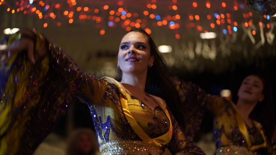 Istanbul: Bosphorus Dinner Cruise with Drinks & Turkish Show - Who this dinner cruise suits best (and who might skip)