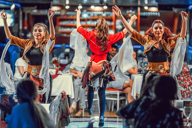 Istanbul: Bosphorus Dinner Cruise with Turkish Night Show - Your Bosphorus route in the dark: what you see and what it means
