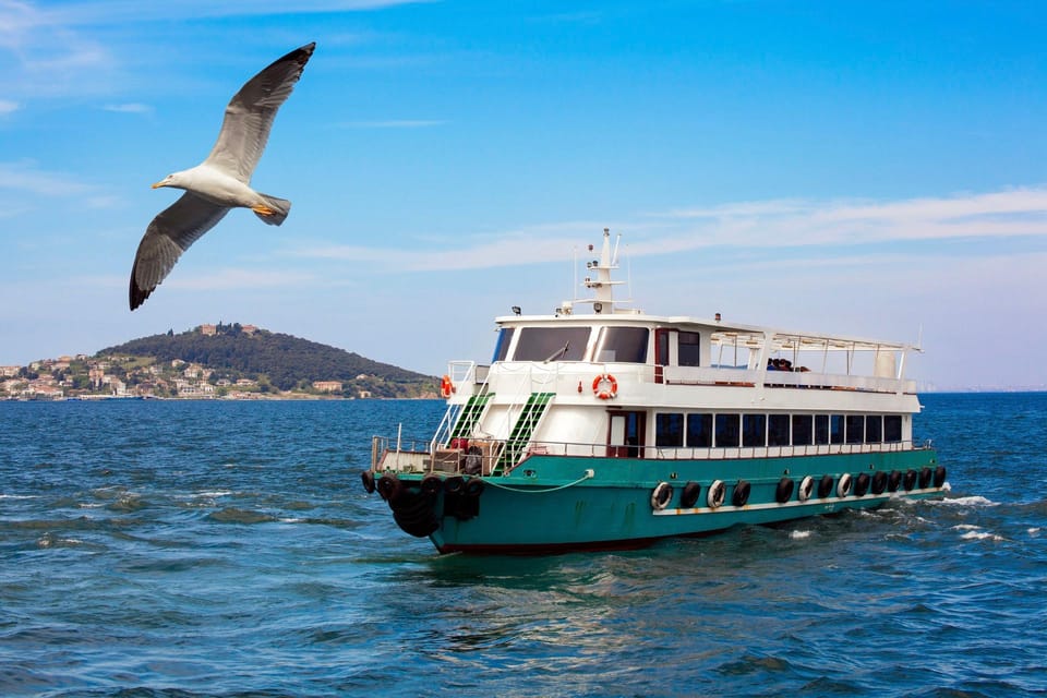 Istanbul: Bosphorus Strait Sightseeing Cruise & Audio Guide - Live guide vs mobile audio: what to listen for on a windy deck