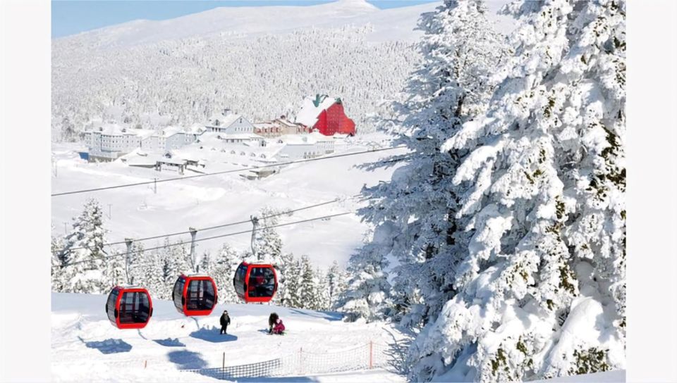 Istanbul: Bursa & Uludag Mountain Day Trip w/ Opt. Cable Car - Should you book the Istanbul to Bursa & Uludağ day trip?