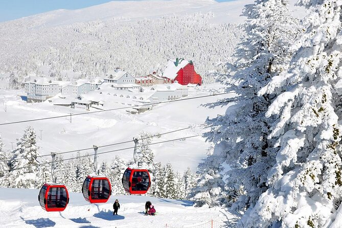 Istanbul: Bursa & Uludag Tour with Lunch & Cable Car Option - Bursa Quick Hits: The Ancient Sycamore Tree and City Context