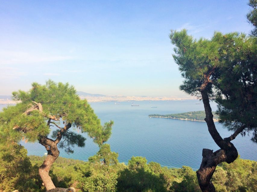 Istanbul: Day Trip to the Princes' Islands - From central Istanbul to Büyükada: the departure setup