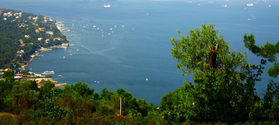Istanbul: Day Trip to the Princes' Islands - Cruising the Marmara Sea: enjoyable views, mixed comfort