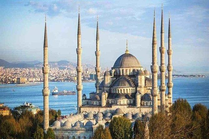 ISTANBUL: Full-Day Private Tour with Top Attractions - Grand Bazaar: a controlled stop in the middle of a sea of shops
