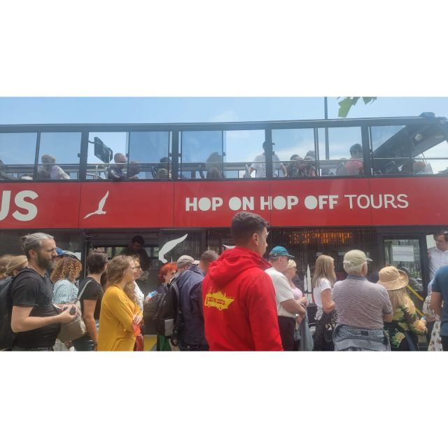 Istanbul Hop On Hop Off Bus24 Hours Ticket - Audio guide power: facts while you move