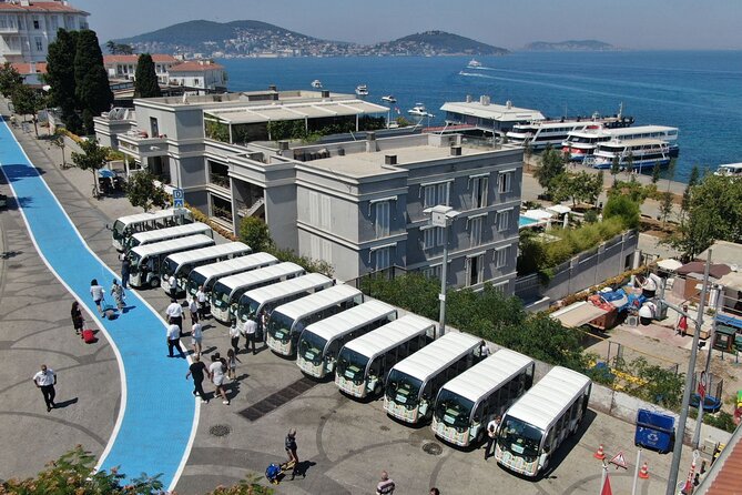 Istanbul Princes Island Tour with Lunch & Hotel Transfer - The part you should plan for: crowds, music, and sales stops