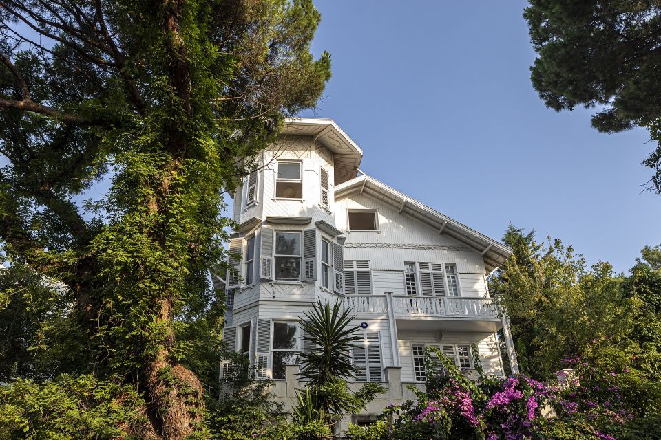 Istanbul: Princes' Islands Cruise w/Music, Lunch & Transfer - Büyükada Mansions by Electric Ride: The Car-Free Sweet Spot