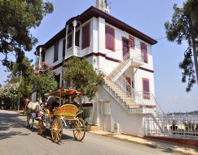 Istanbul: Princes' Islands Tour with Lunch and Transfers - Lunch on the boat: good enough, not gourmet