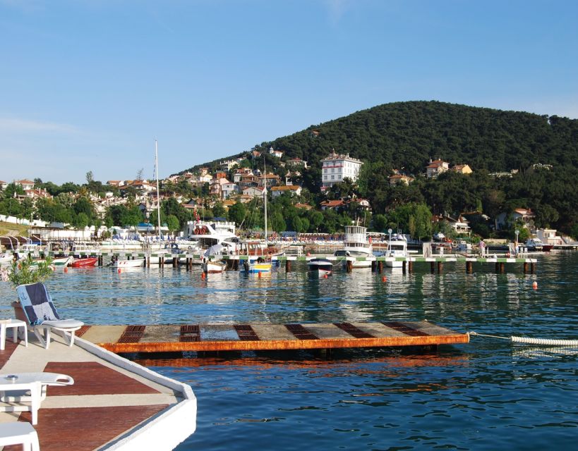 Istanbul: Princes' Islands Tour with Lunch and Transfers - Electric cars and getting around: walk first, then choose a shortcut