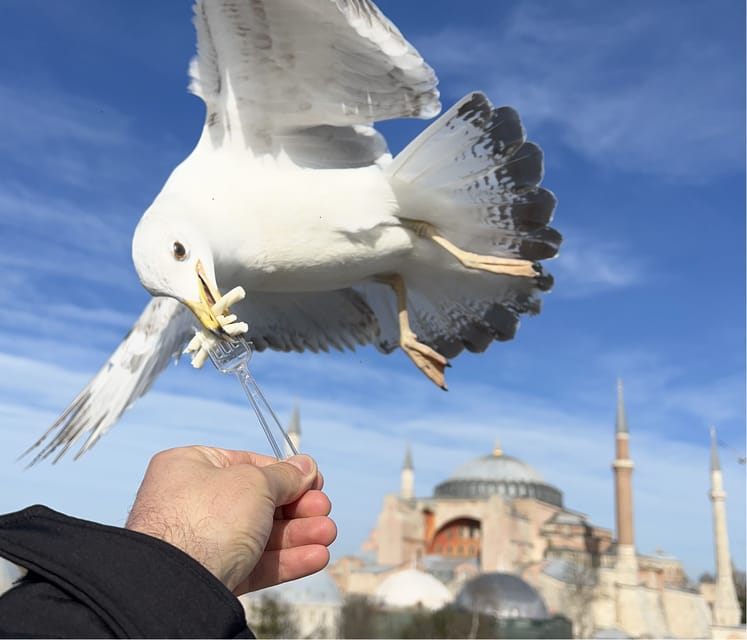Istanbul: Private City Tour with Transportation - Why This Private Istanbul Day Works Better Than Chasing Stops Alone