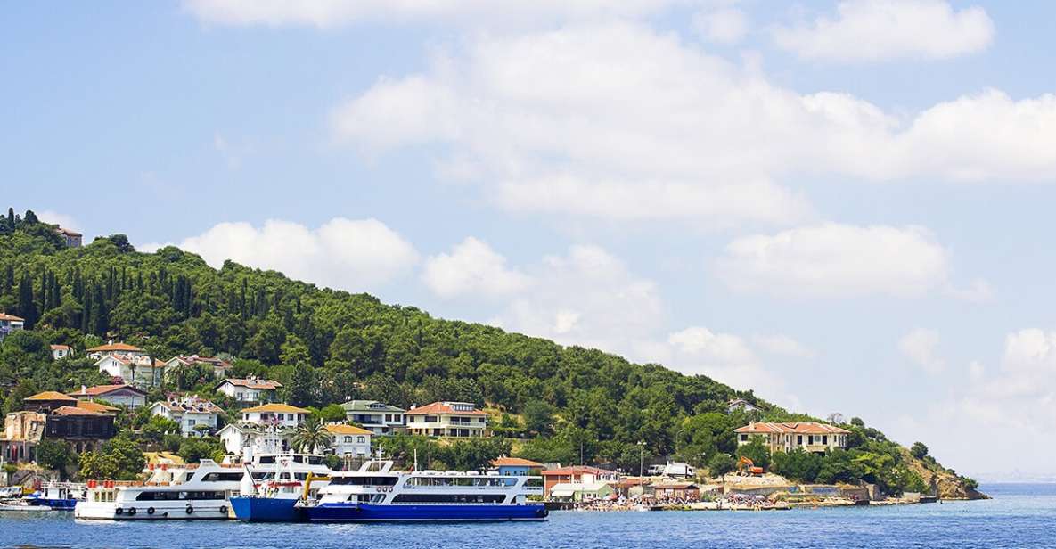 Istanbul: Round-Trip Ferry Tickets to the Princes' Islands - Your self-paced day on Büyükada: the stops you can actually plan for