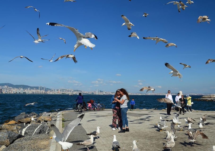 Istanbul: Round-Trip Ferry Tickets to the Princes' Islands - Price value: what the $11 round trip really gets you