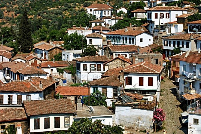 Istanbul to Ephesus Full Day Guided Tour, Flight and Lunch incl. - Temple of Artemis: a fast stop with strong photo context