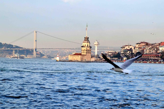 Panoramic City Tour with Bosphorus Strait Sightseeing Cruise - Value: does $42.10 buy you enough?