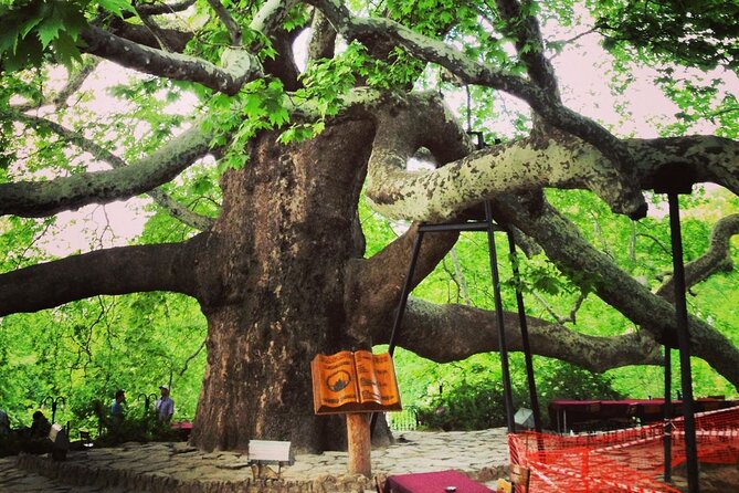 Premium Bursa and Uludag Tour - (Breakfast-Lunch Included) - Bursa Morning: Chair Lift to the Peak and an Old Tree Stop
