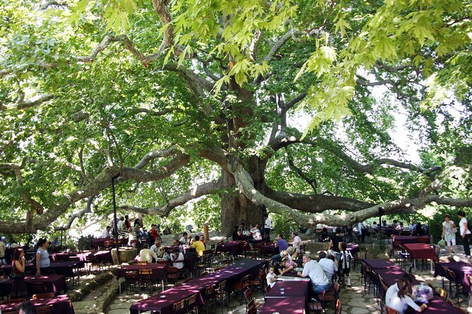 Premium Bursa and Uludag Tour - (Breakfast-Lunch Included) - The İzmit Gulf Ferry: A 40-Minute Reset