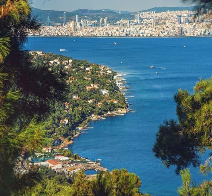 Princes Island Full Day Tour with Lunch - Getting From Istanbul to Büyükada: The Ride That Sets the Tone
