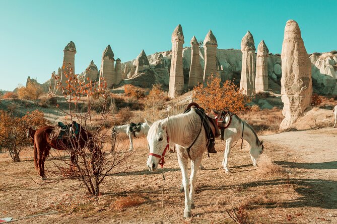 Private Day Trip to Cappadocia from Istanbul - Uchisar Castle Viewpoint: Your Cappadocia Orientation in 20 Minutes