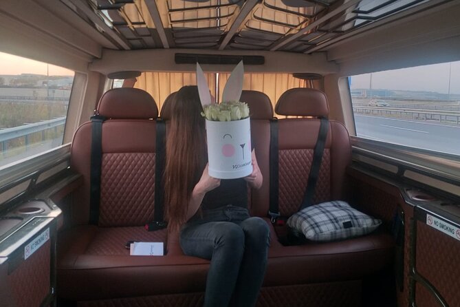 Private Istanbul Airport (IST) Transfer To/From City Center - Price Per Group: When $40 Is Good Value
