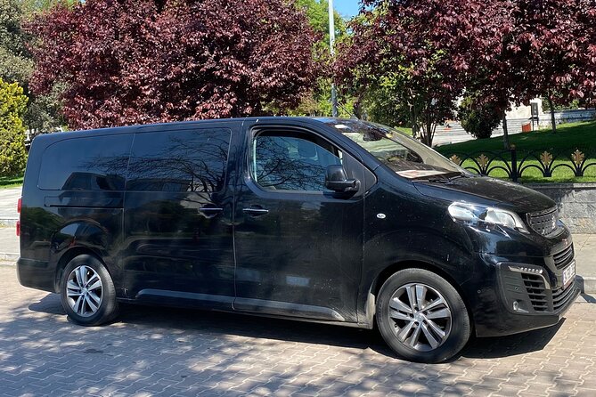 Private Minivan Transfer from Istanbul Airport - Price and Value: $33.25 Per Person for Direct Airport-to-Hotel