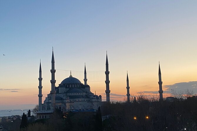 Private Minivan Transfer from Istanbul Airport - Who This Istanbul Airport Transfer Fits Best