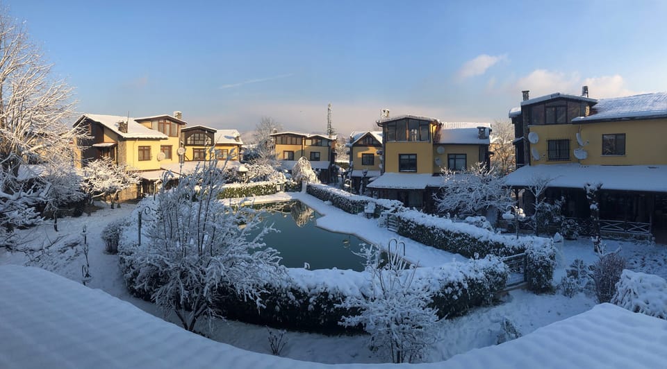 Sapanca Lake and Masukiye Full-Day Tour from Istanbul - Masukiye lunch under trees: comfort food with a mountain-town rhythm